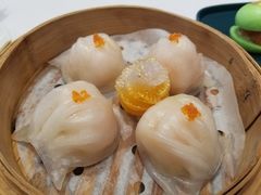 盛汇虾饺皇-千灯盛汇·头牌粤菜(致越优城店)