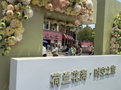 -荷兰花海