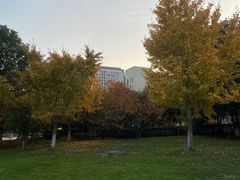 -朱氏胖子烂火锅(洪崖洞店)