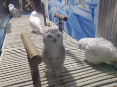 -成都浩海立方海洋公园