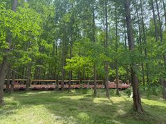 -黄海国家森林公园