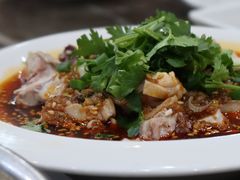 口水兔-丁月玉兔王(大渡口店)
