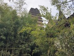 -西安博物院