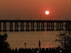 -宝安西湾红树林湿地公园