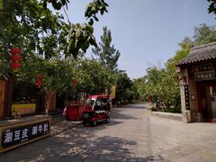 -大槐树寻根祭祖园