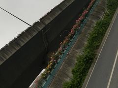 -江南春(中山中路店)