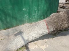 -莲湖公园