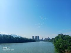 -大亚湾红树林城市湿地公园
