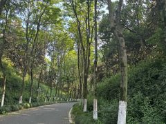 -宜兴龙背山森林公园