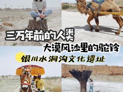 -水洞沟旅游区