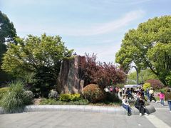 -昆山城市生态森林公园