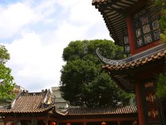 -碧江金楼