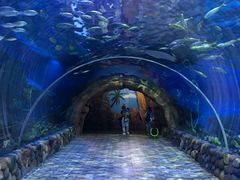 -华夏文旅海洋公园