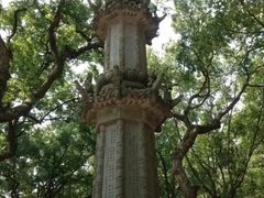 -普陀山风景名胜区-法雨禅寺