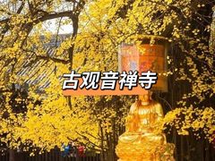 -西安大兴善寺