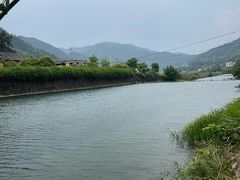 -芦茨金富饭庄·25年老字号·专做稻草鸡