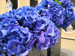 -翠湖宾馆·中餐厅