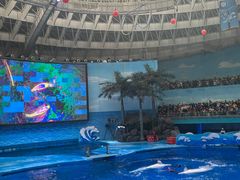 -海合安成都极地海洋公园