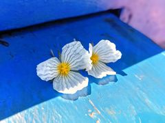 -丽江泸沽湖景区