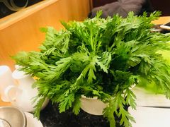 -老码头火锅(骡马市店)