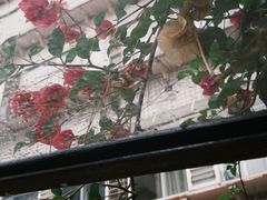 -KAFKA·卡夫卡咖啡(文林店)