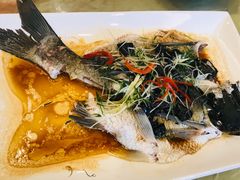 榄角蒸山坑鲩鱼-鱼米之家·20年老字号园林农庄·宴席(鱼窝头店)
