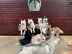 -TrueLove @ Neverland (Husky Cafe)