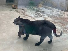 -西安秦岭野生动物园