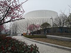-金沙湖公园