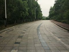 -东莞植物园
