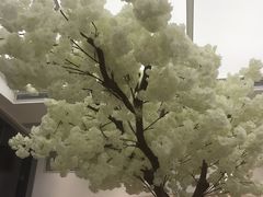 -艾薯夫妇Aysh(福田星河COCOPark店)