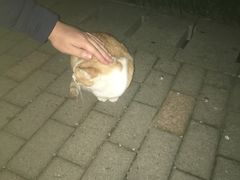 -苏州河梦清园环保主题公园