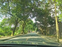 -广州市帽峰山景区