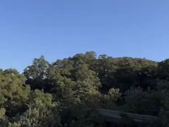 -福道