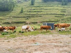 -云座·时光·观景咖啡厅(五爷庙店)