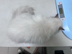 -美联众合24小时·皮肤科·外科·全科诊疗中心(华苑分院)