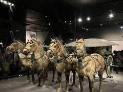 -秦始皇帝陵博物院-丽山园