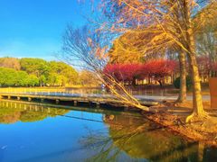 -同里国家湿地公园