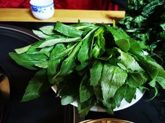 -银同牦牛肉火锅
