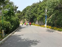 -棒棰岛宾馆景区