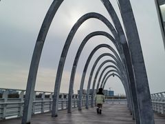 -大兴滨河森林公园