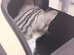 -美联众合动物医院·24h京西诊疗中心