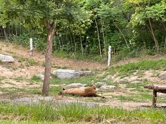 -北京野生动物园