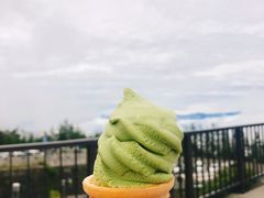 -富士山吉田線五合目