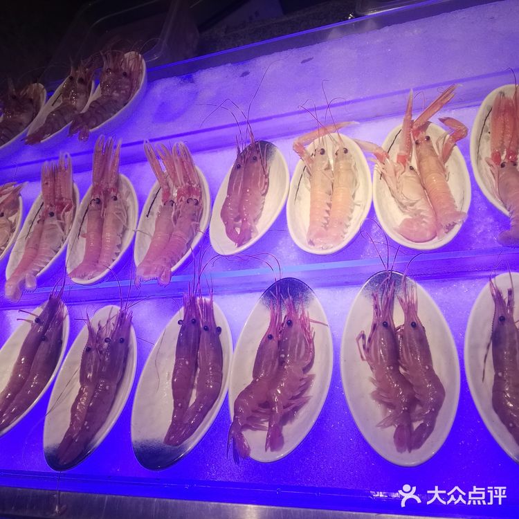 海鲜自助 食物的盛宴