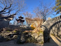 -朴园