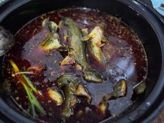 -金海椒罐罐鲢鱼(东方桂苑店)