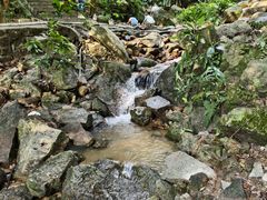 -火炉山森林公园