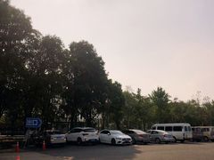 -上海佘山国家森林公园东门地面停车场