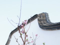 -乌山风景区